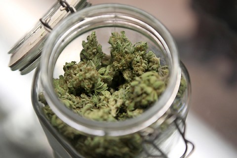 Medical marijuana is shown in a jar at The Joint Cooperative in Seattle