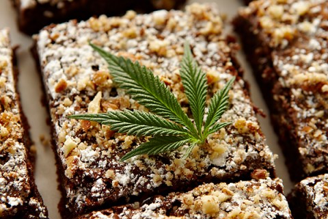 Fresh brownies baked with marijuana