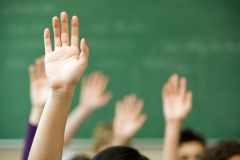 Image: Hands raised in classroom