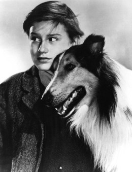 ACTOR RODDY MCDOWALL IN FILM LASSIE COME HOME.